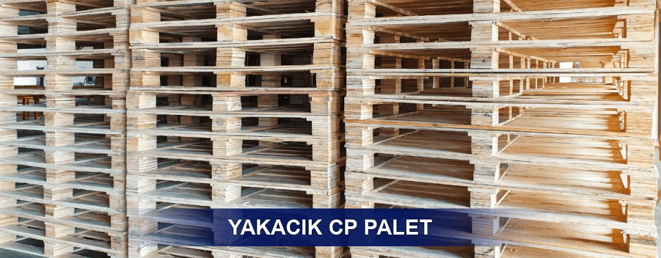 Yakacık Standart Tipler