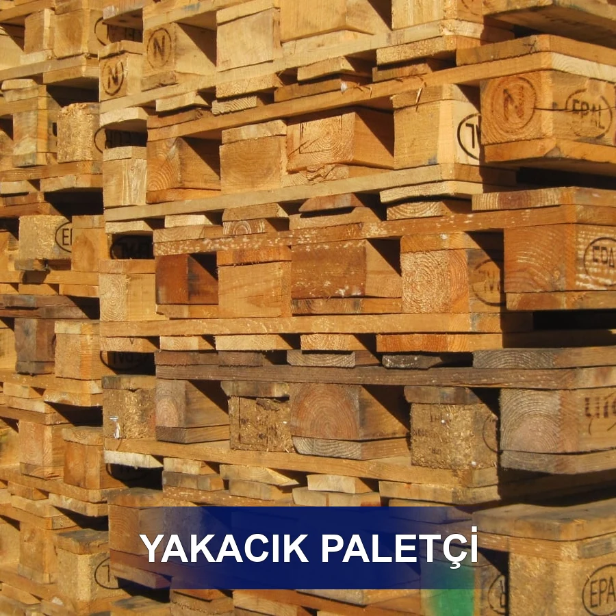 Yakacık Paletçi